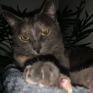 Meet your Posher, Sashana